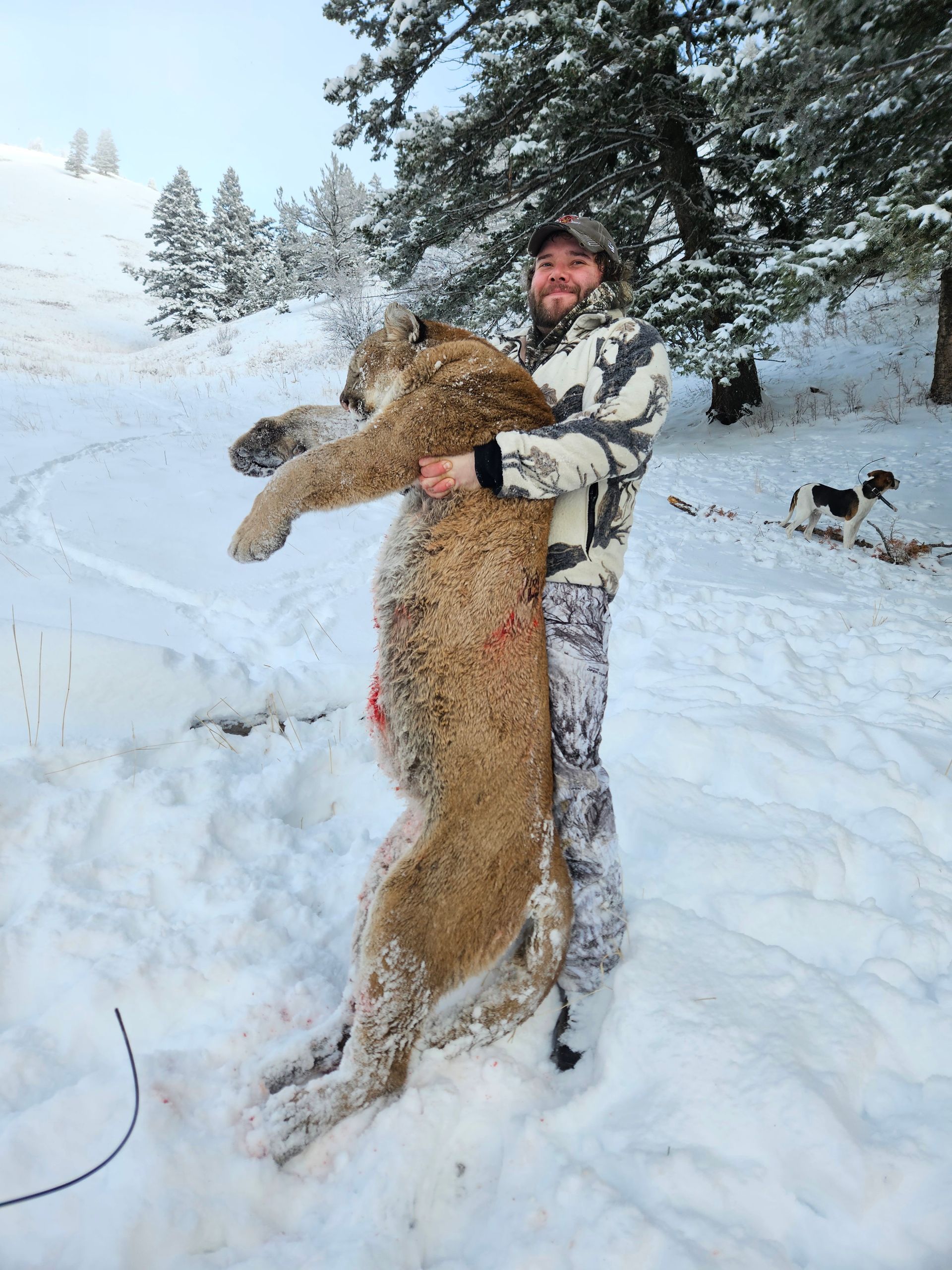 A man is holding a large animal in the snow.