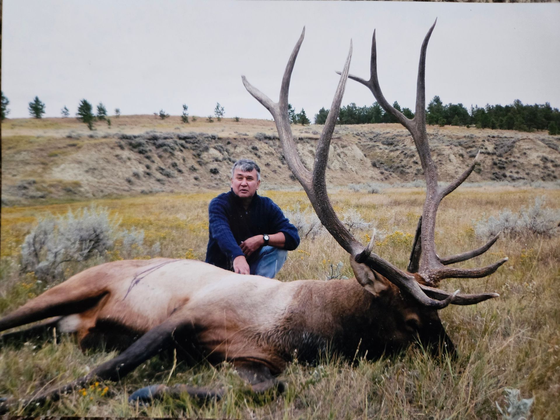 Elk Hunting