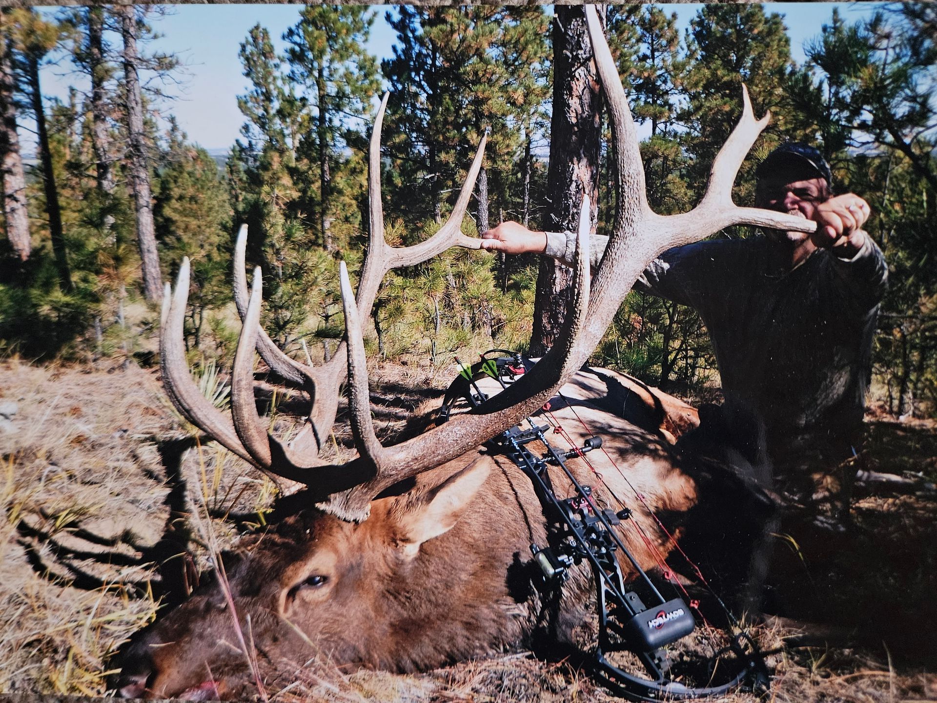 Elk Hunting