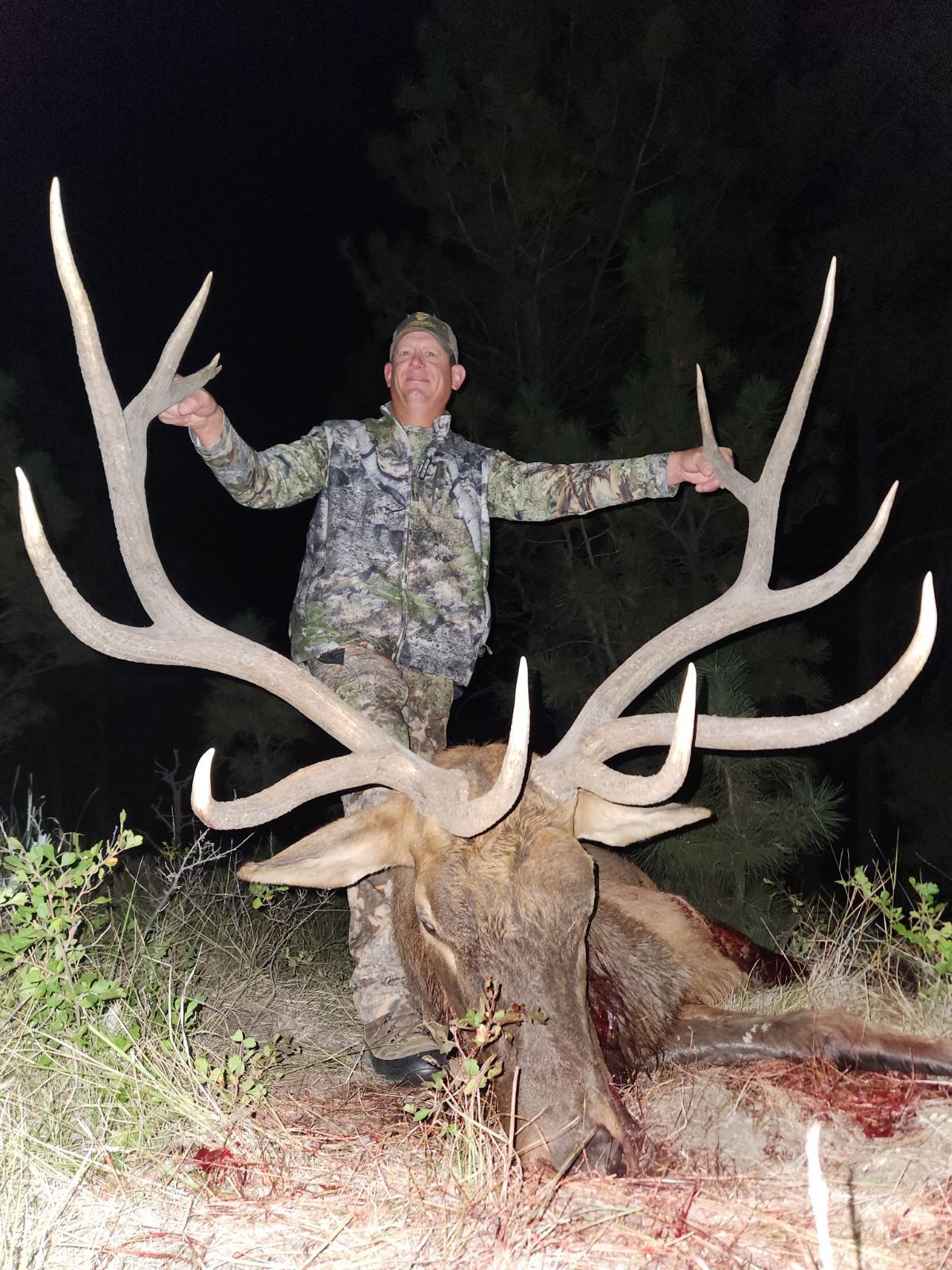 A man is standing next to a large deer with antlers.