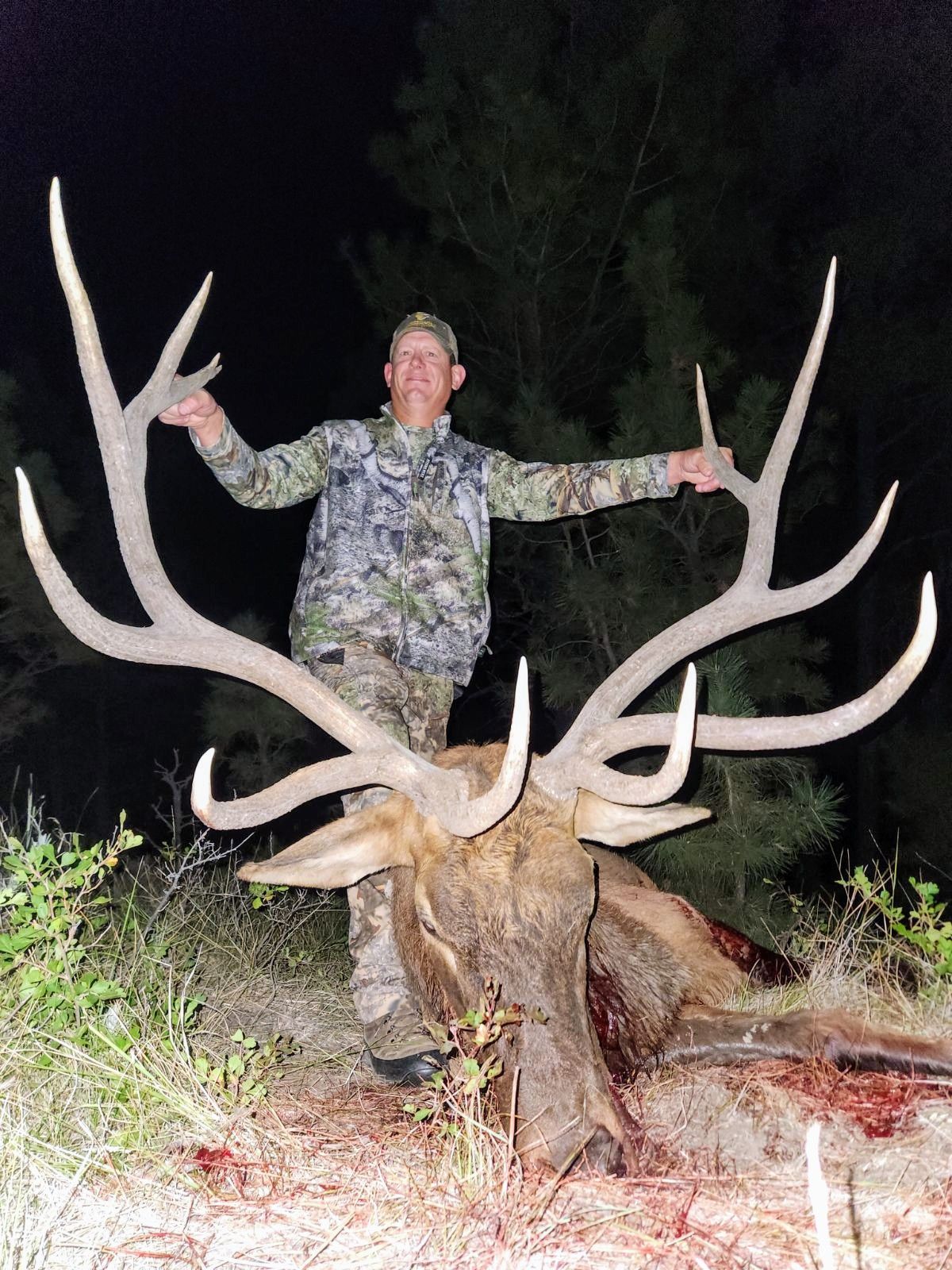 A man is standing next to a large deer with antlers.