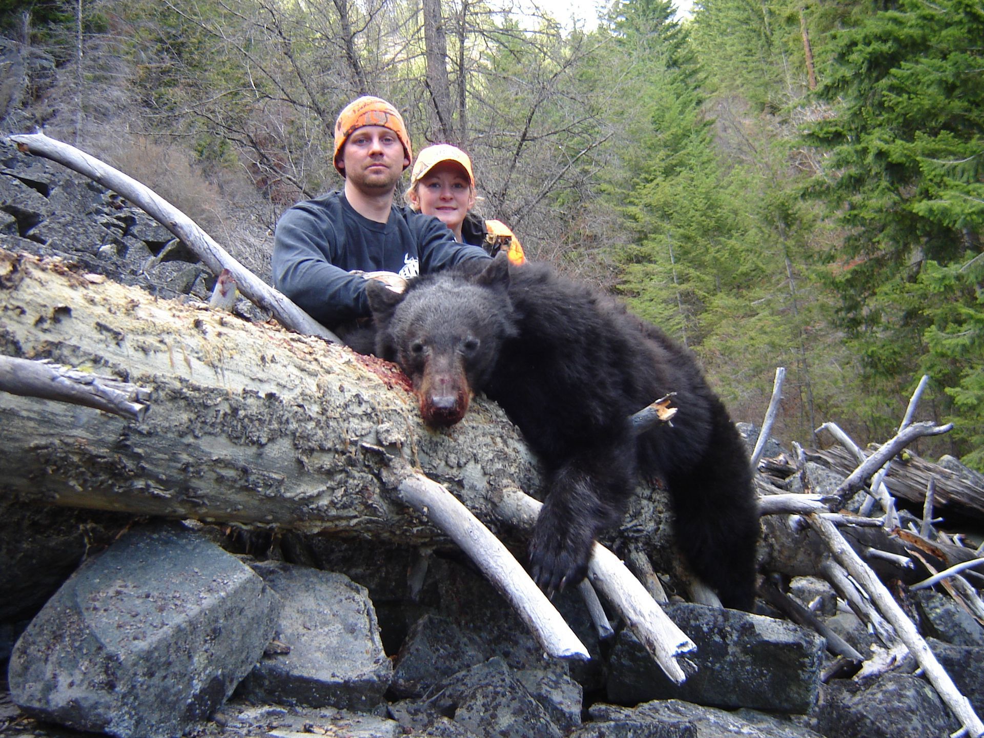 A man and a woman are standing next to a black bear.