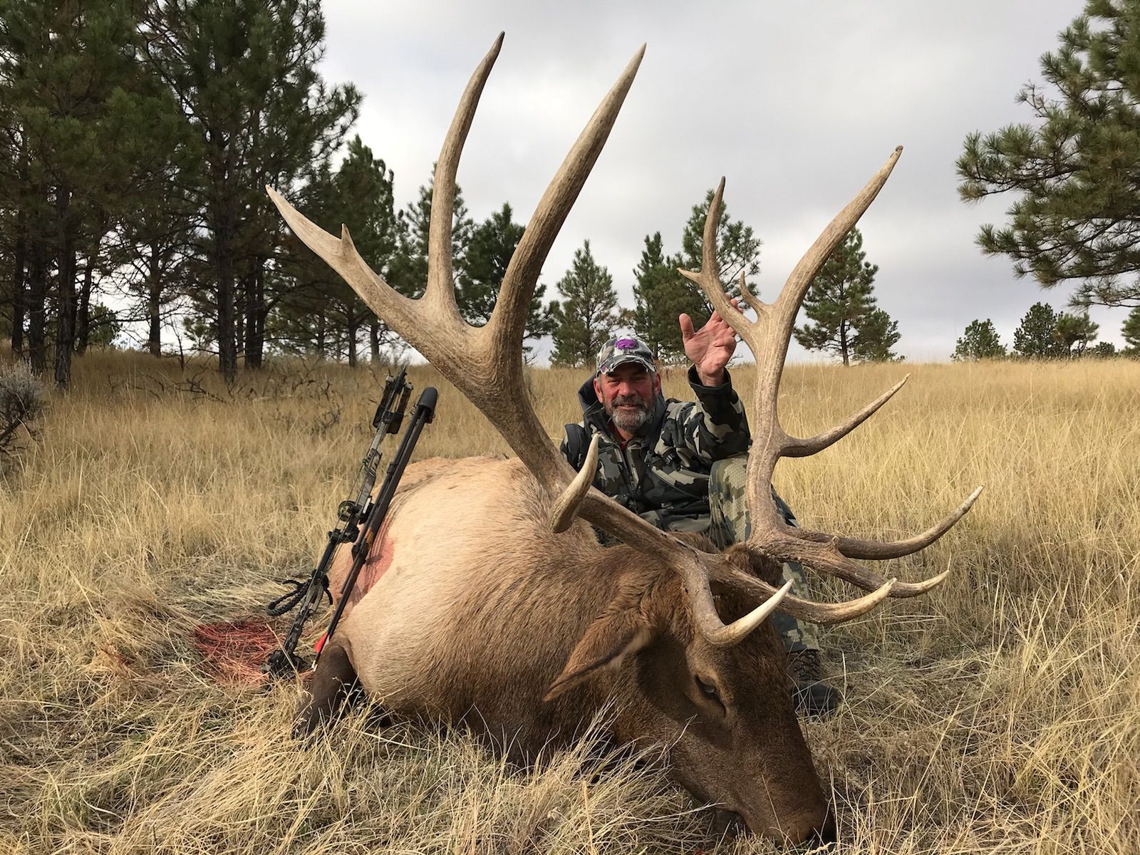 A man is standing next to a large elk in a field.