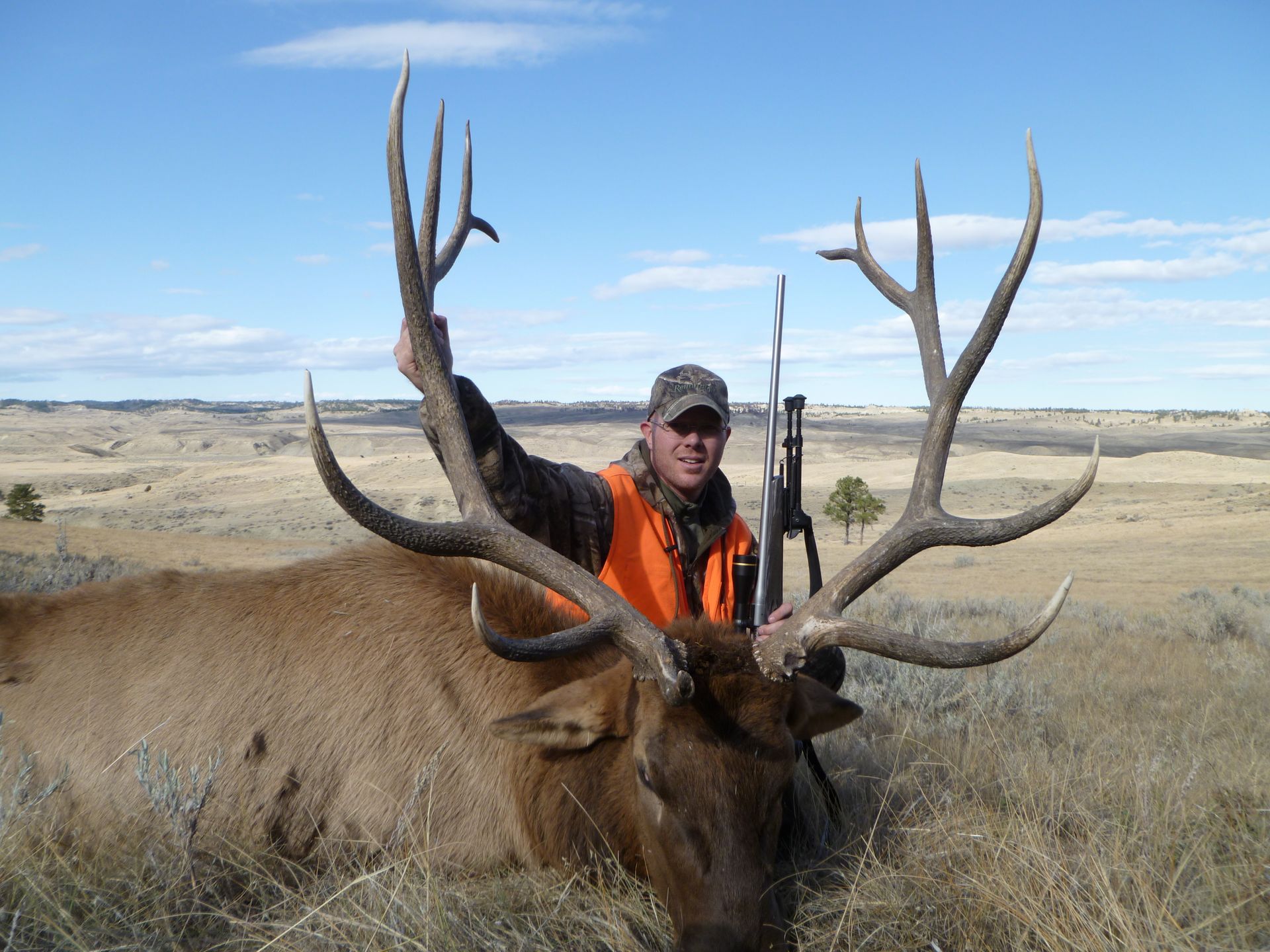 A man in an orange vest is standing next to a large elk.