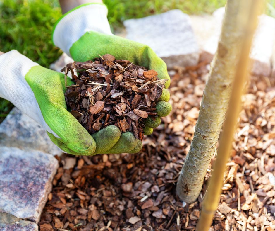 mulch from stump grinding