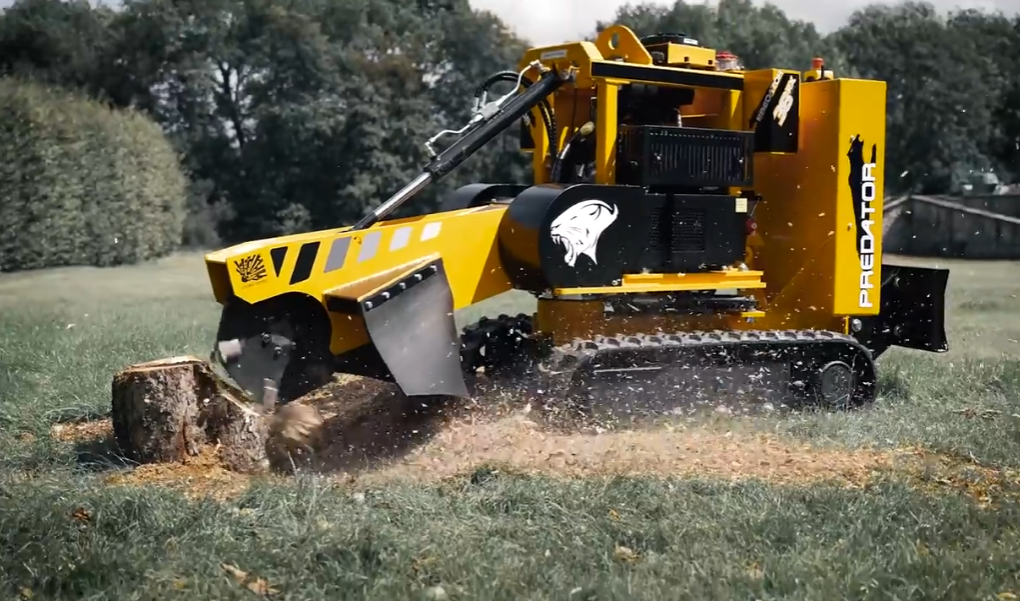 A man is using a chainsaw to cut a tree stump in the woods.