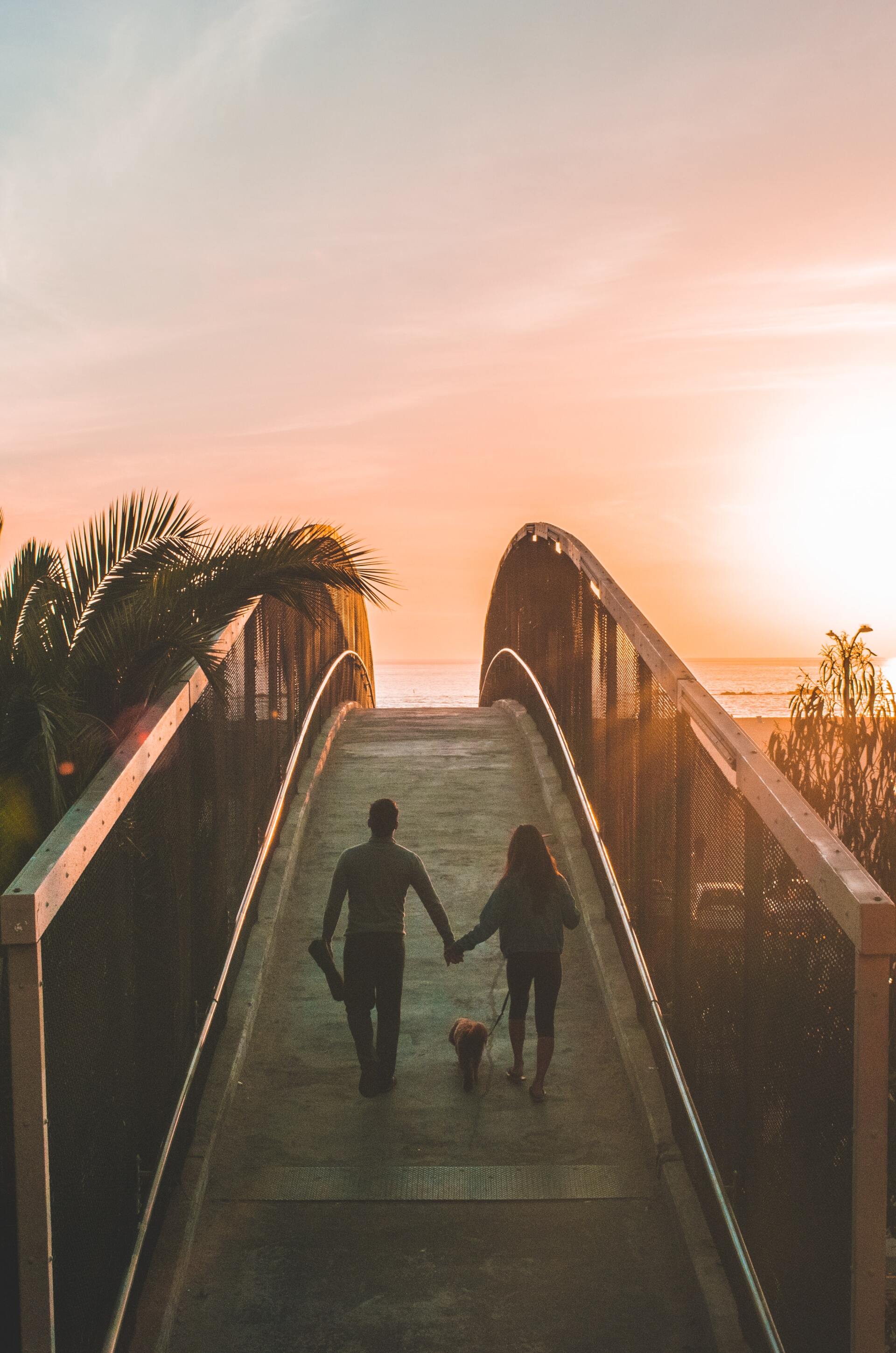 Parents holding hands walking into the sunset