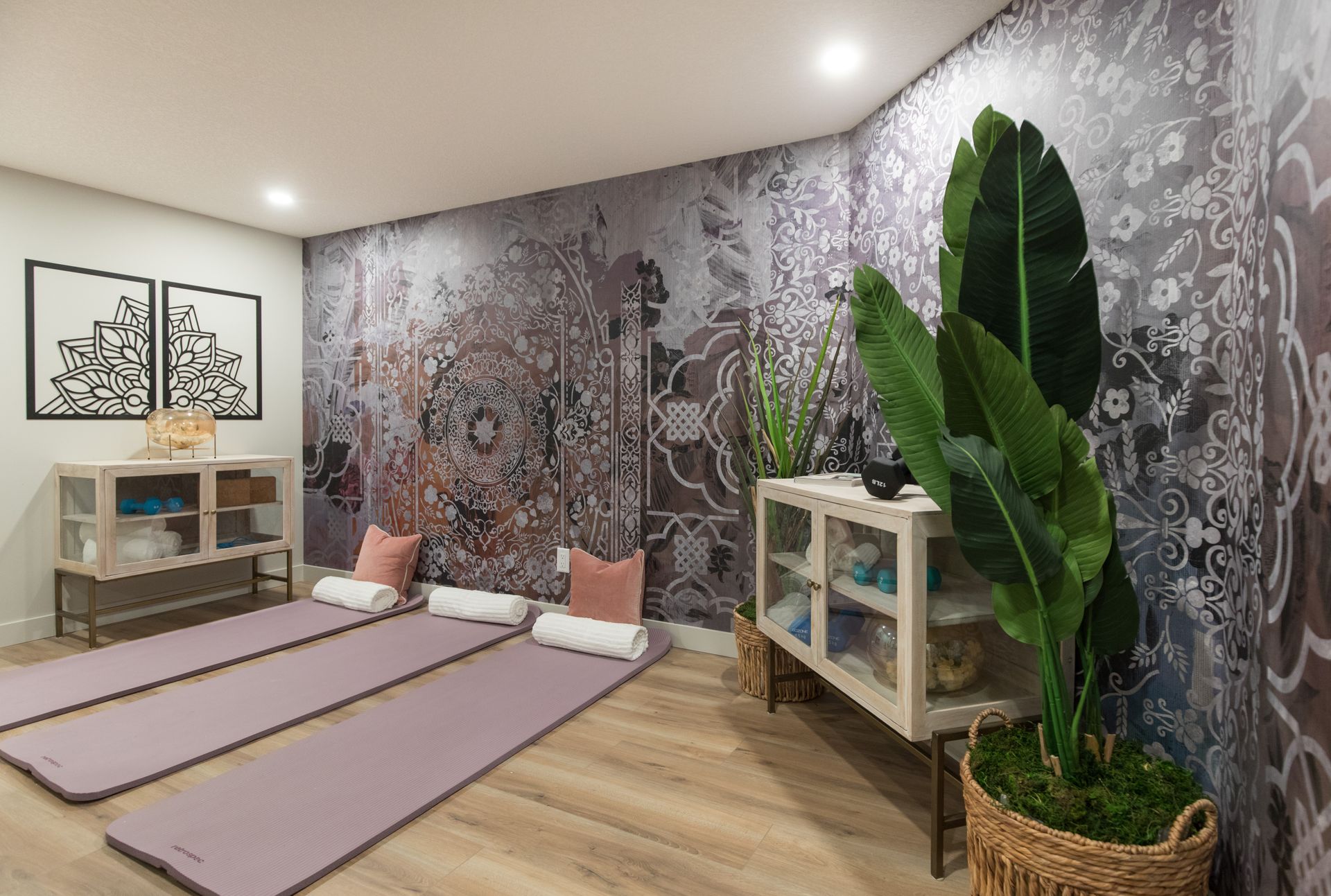 A room with two yoga mats and a plant in it.