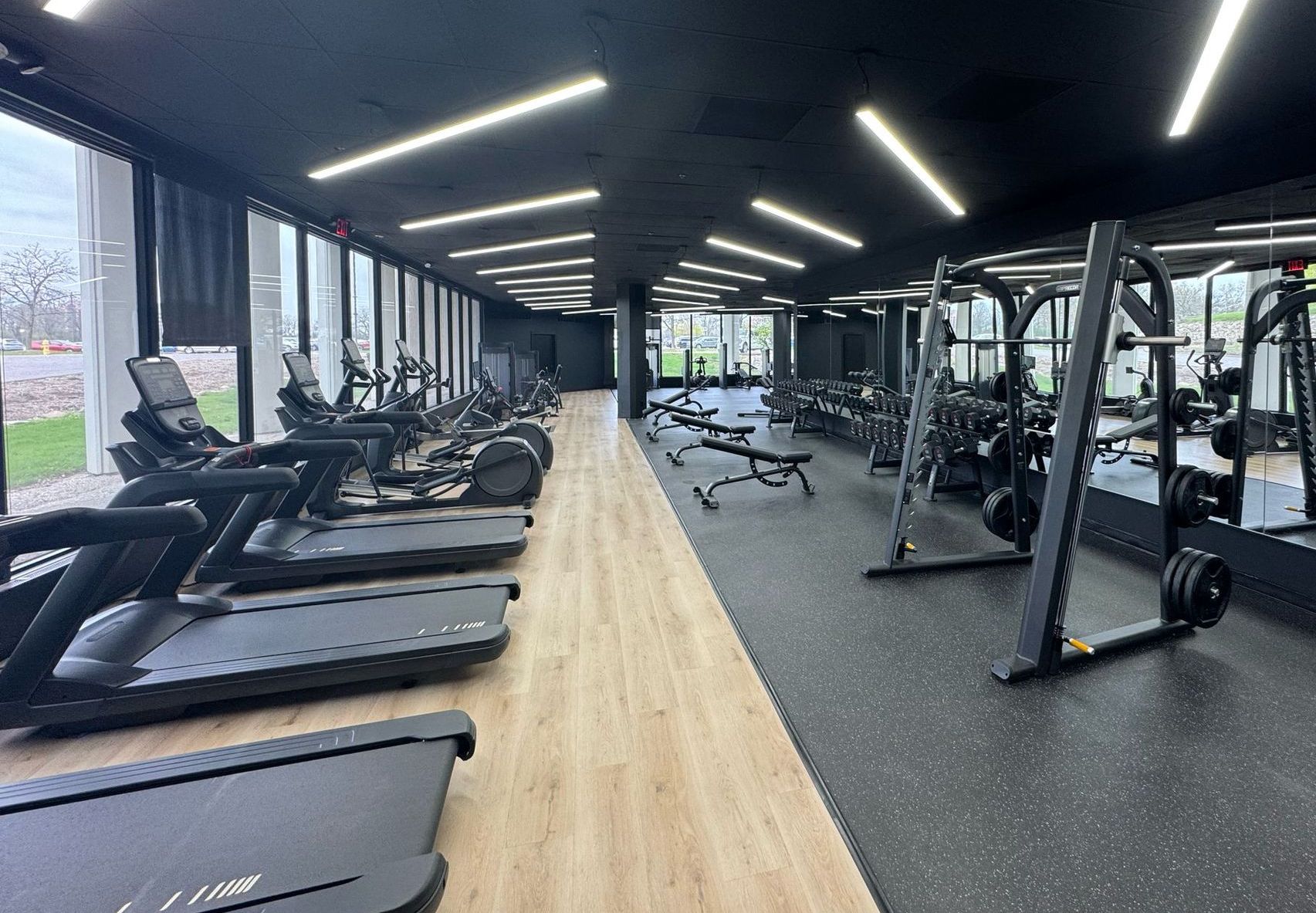 Modern Gym