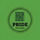 Professional Carpenter on the Central Coast