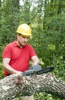 Man in red shirt and yellow helmet cutting a log with a chainsaw in a forest.