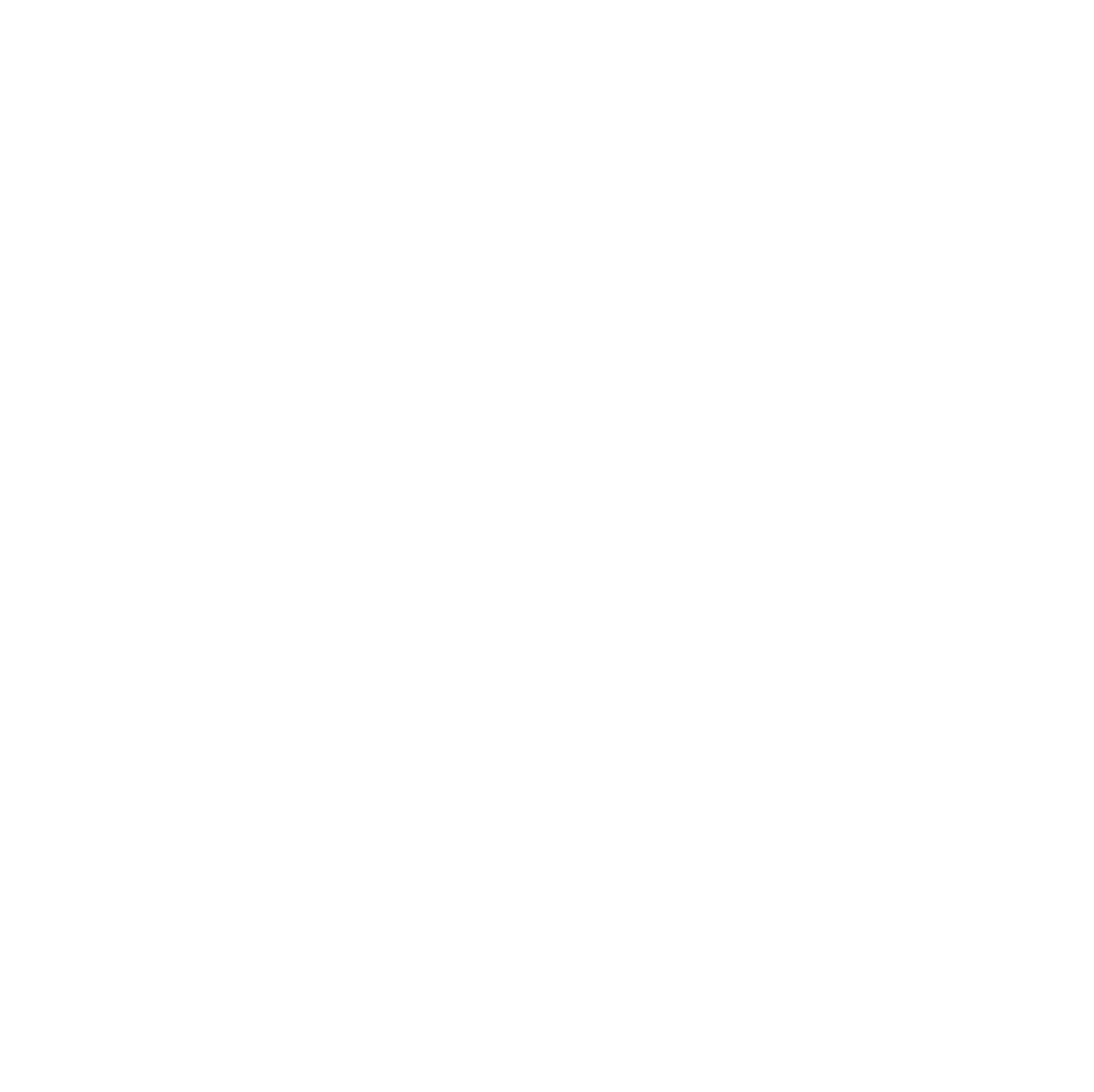 25 anniversary logo.