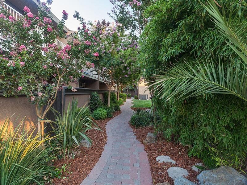 Curved brick pathway through a landscaped courtyard with trees and shrubs between buildings.