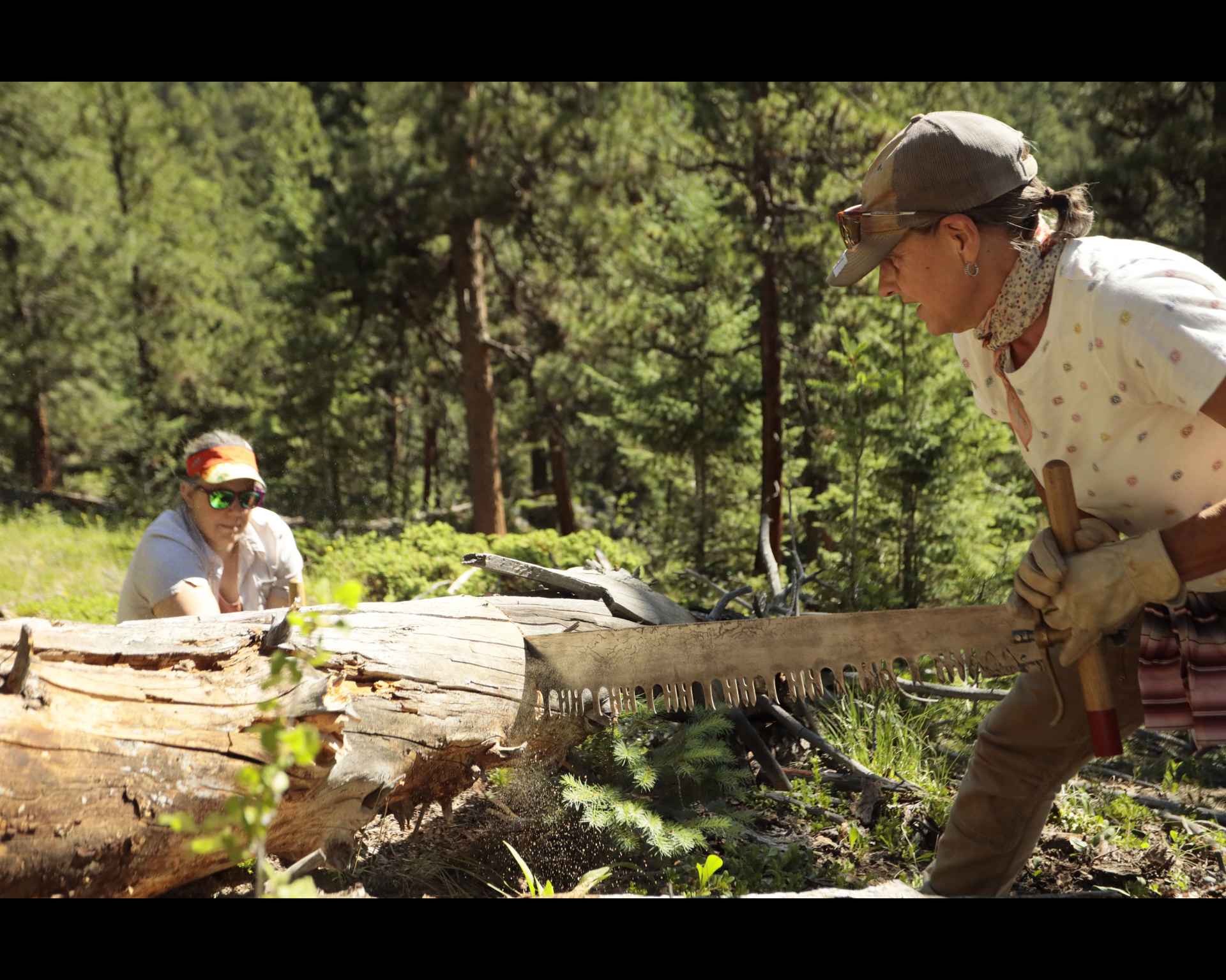 Two females use a crosscut saw to remove a down tree for trail maintenance at Mt. Blue Sky Outdoor Lab.