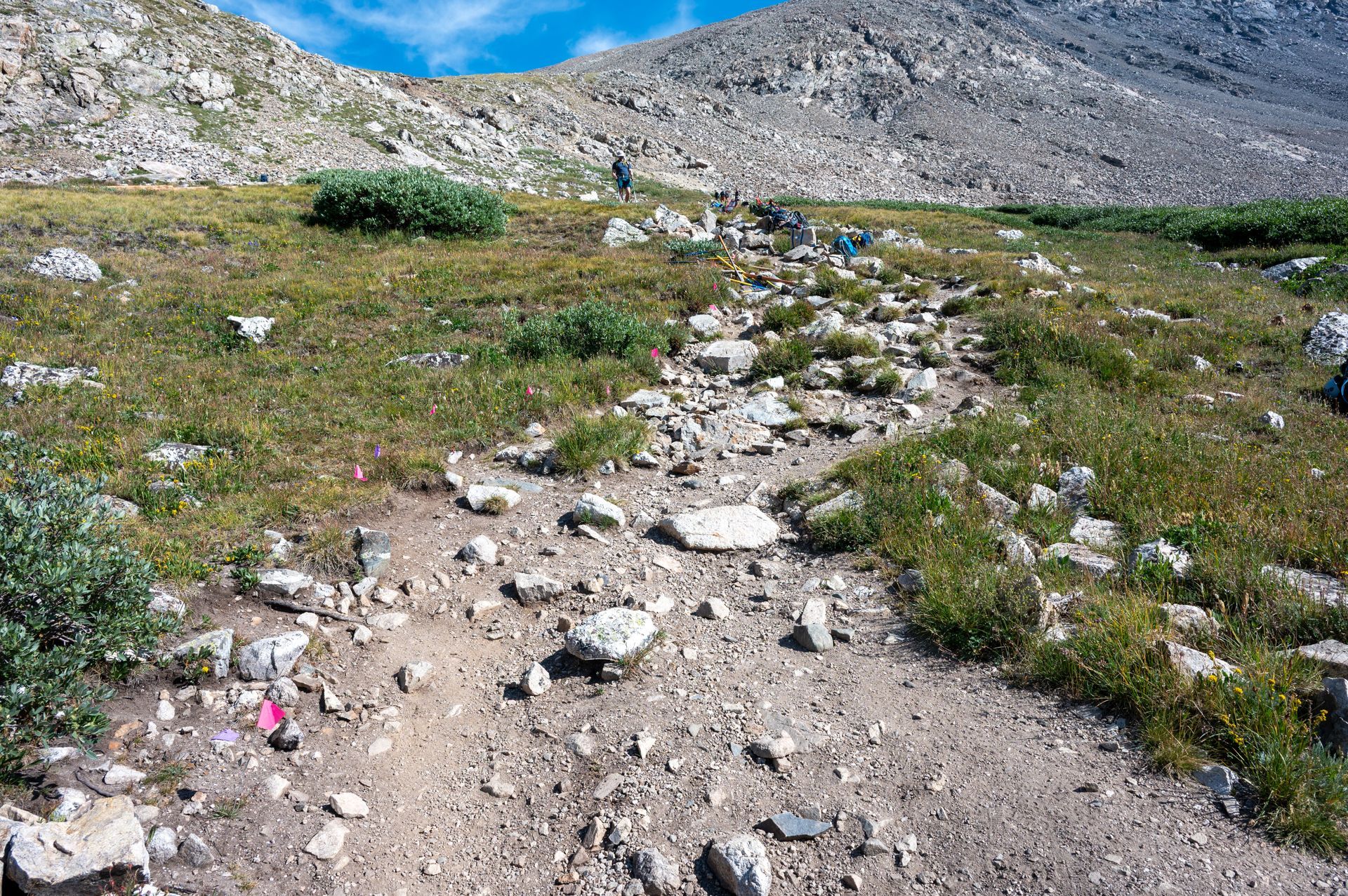 Unclear trail with rocks strewn about