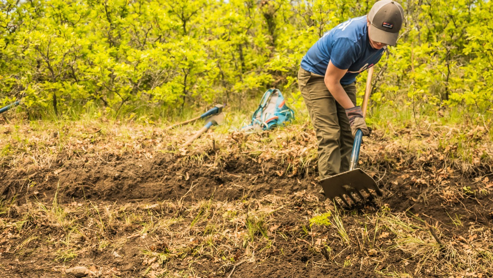 trail restoration