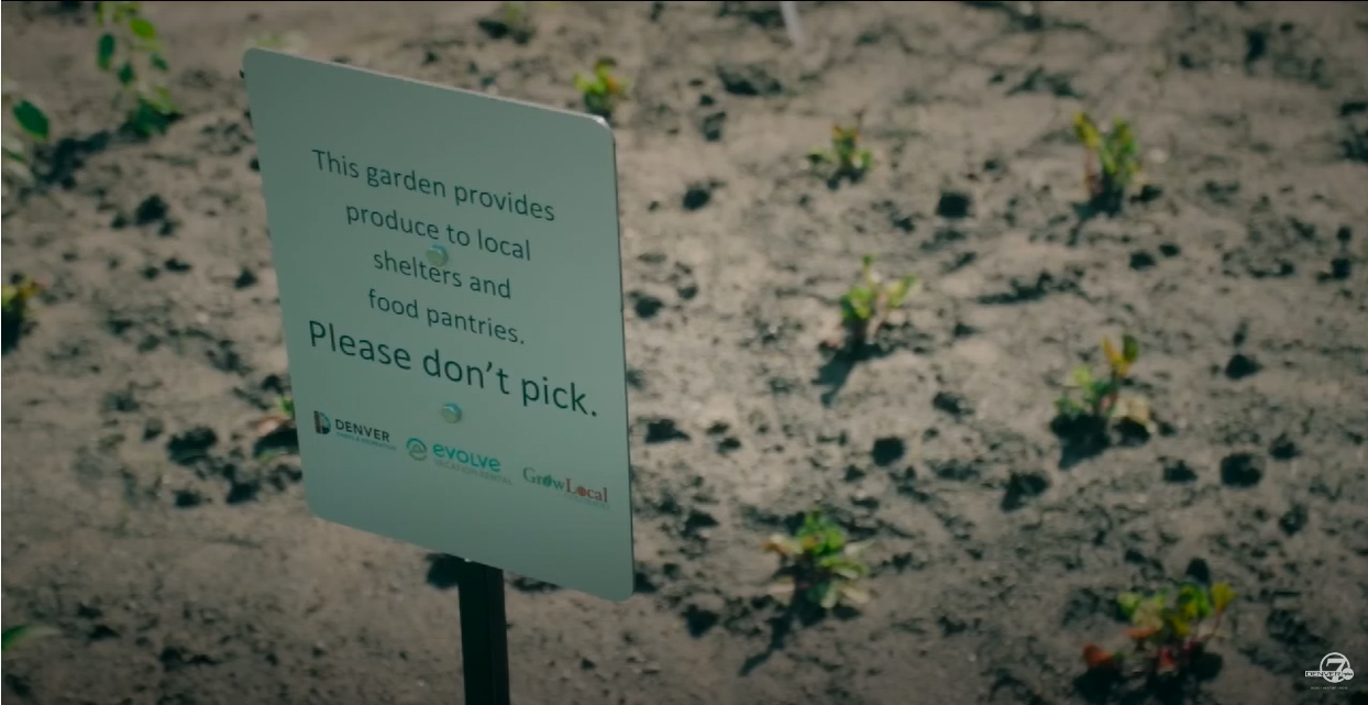 Volunteers for Outdoor Colorado's Healthy Community Projects