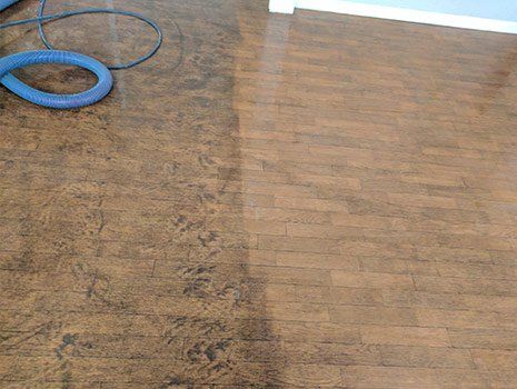 Wood Floor Cleaning — Terre Haute, IN — Chuck’s Deep Clean Carpets