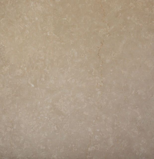 White marble with gray veining.