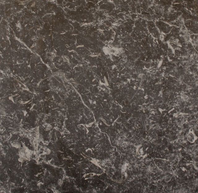 White marble with gray veining.