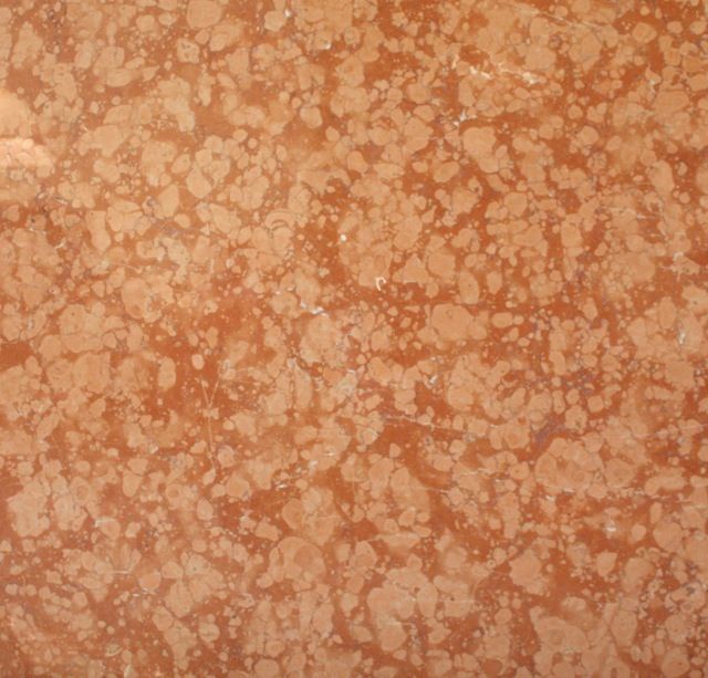 White marble background with gray veining.