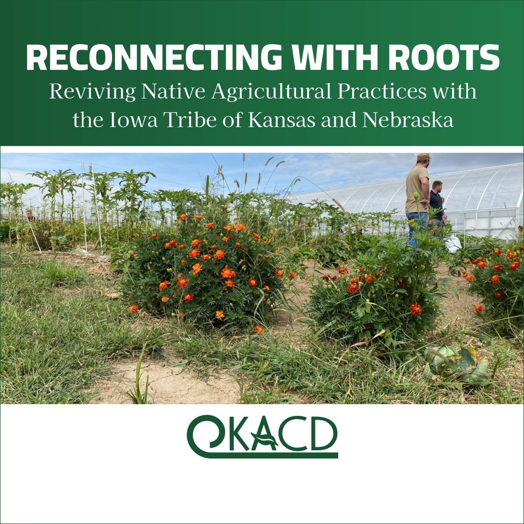 The cover of a book titled reconnecting with roots