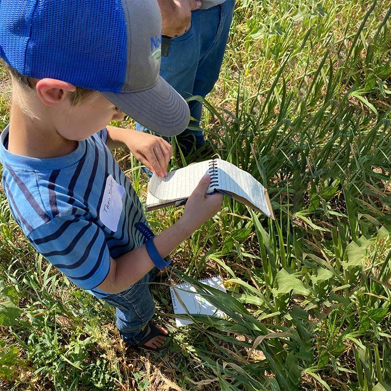 A young boy in a blue striped shirt is looking at a notebook in the grass.