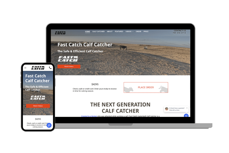 website example on laptop and mobile -fast catch