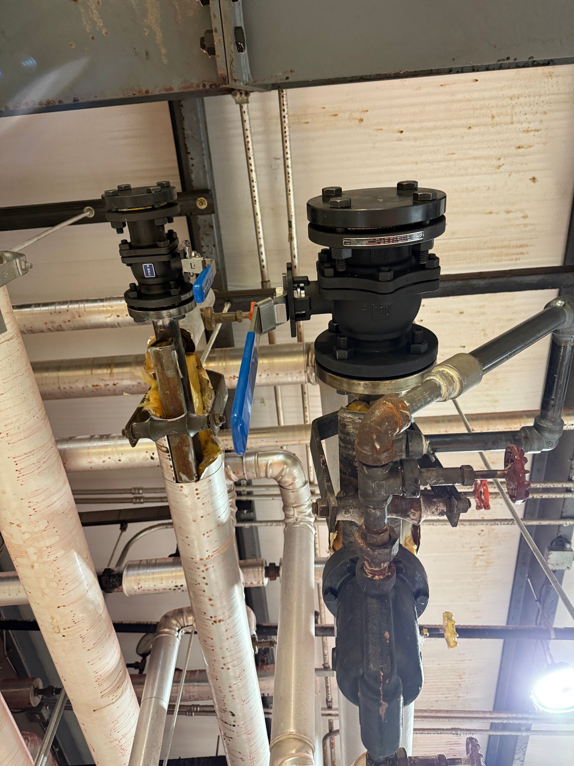 Pipes and valves in an industrial setting. Metal pipes with black and blue valves against a white ceiling.