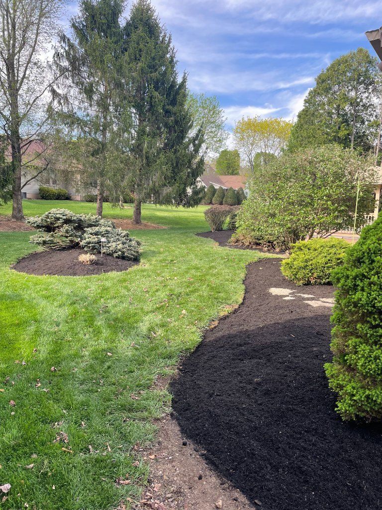 Landscaped garden with a winding mulch path, green lawn, shrubs, and tall trees under a blue sky