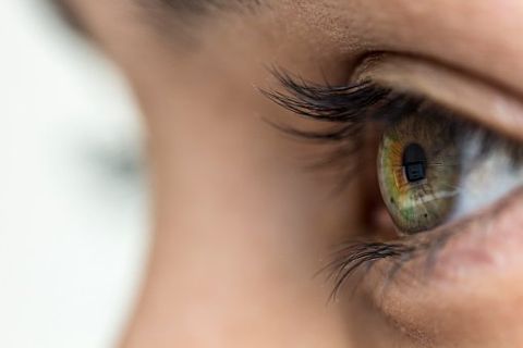 Human eye - Ophthalmologist in Sarasota, FL