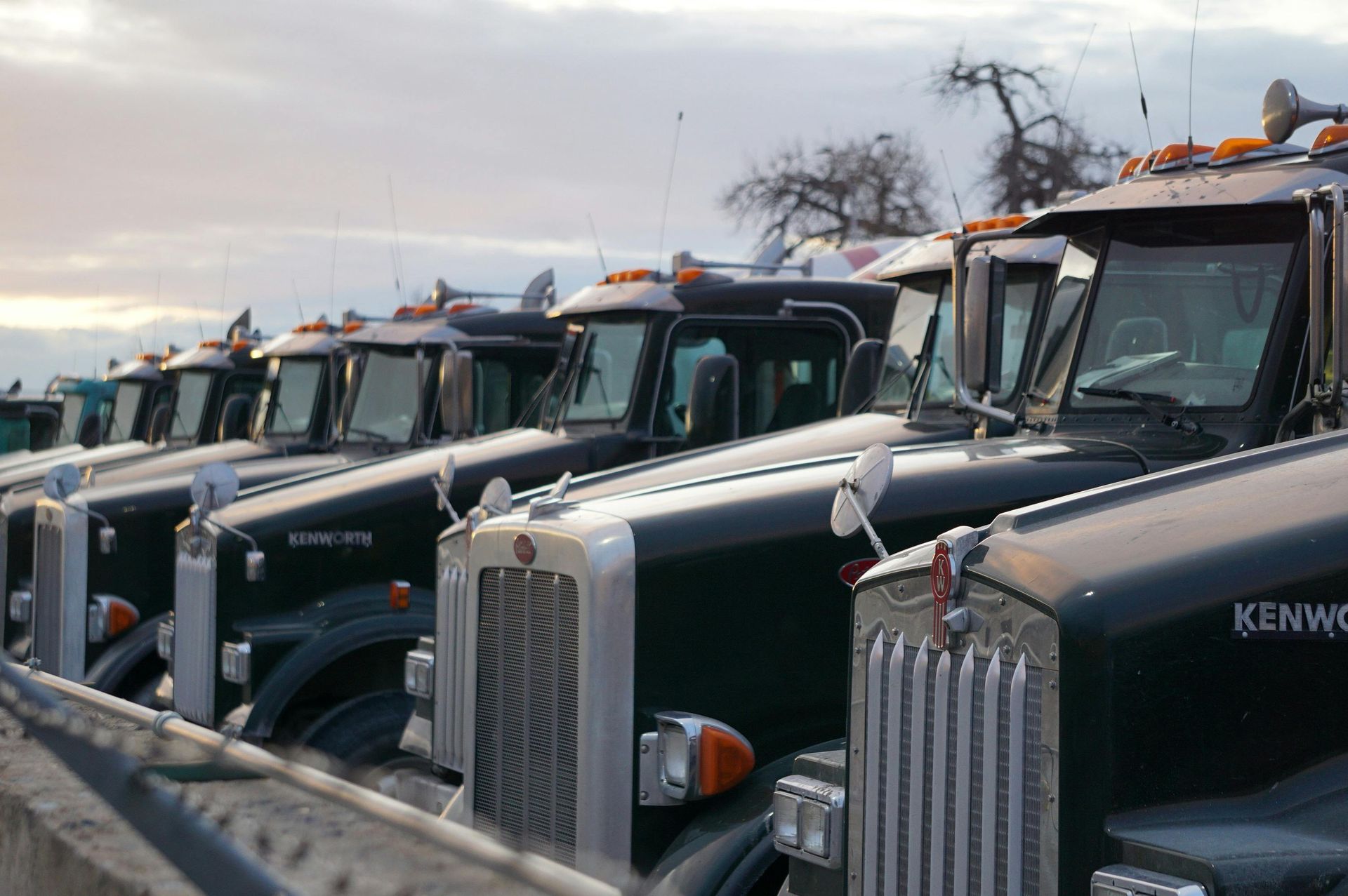 Row of dark semi-trucks parked outdoors, silver grilles and amber lights visible.