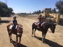Two children are riding horses on a dirt road.