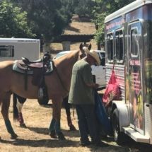 A man is standing next to a horse and a trailer.