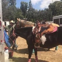 A man is standing next to a horse with a saddle on it.
