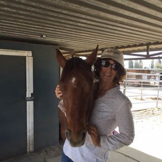 A woman wearing sunglasses and a hat is holding a brown horse