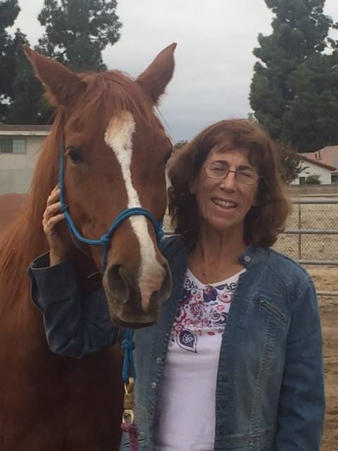 A woman in a denim jacket stands next to a brown horse
