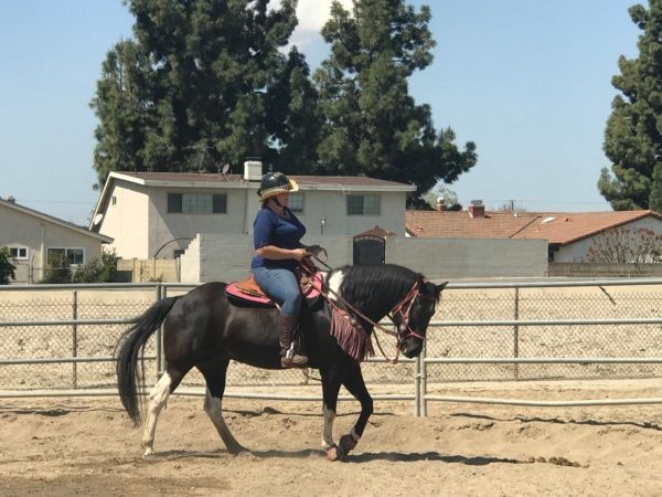 A woman riding a horse in a fenced in area