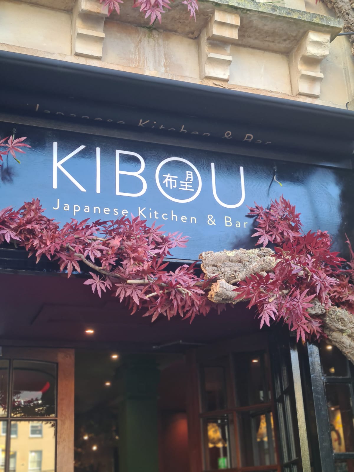 vinyl and painted fascia