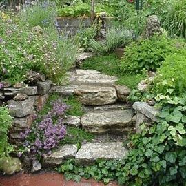 stone-steps-and-flowers