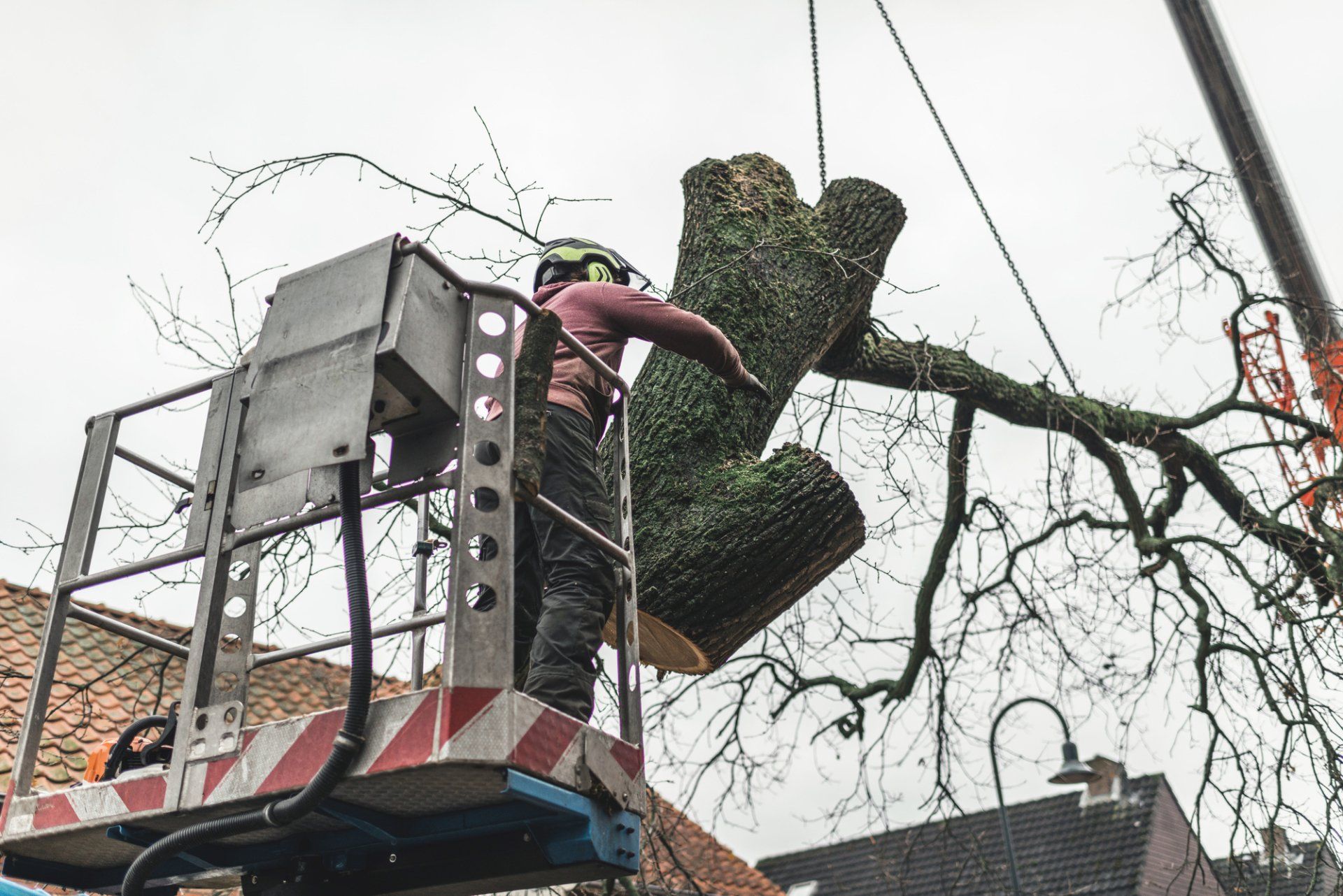 Дерево положил. Закинул велосипед на дерево.