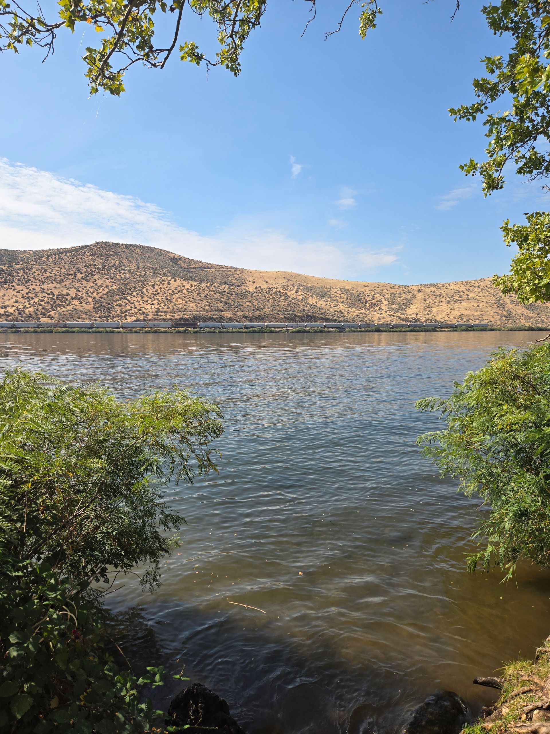 A serene lake view framed by trees. A distant, tan-colored hill is under a blue sky.
