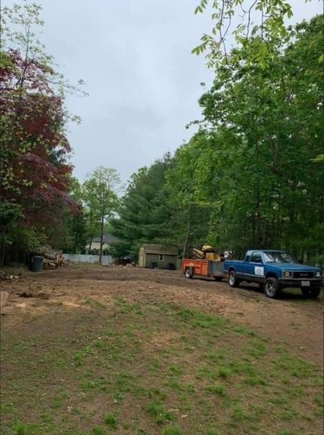 Dirt driveway beside trees, with a blue pickup truck and orange equipment near a small shed.