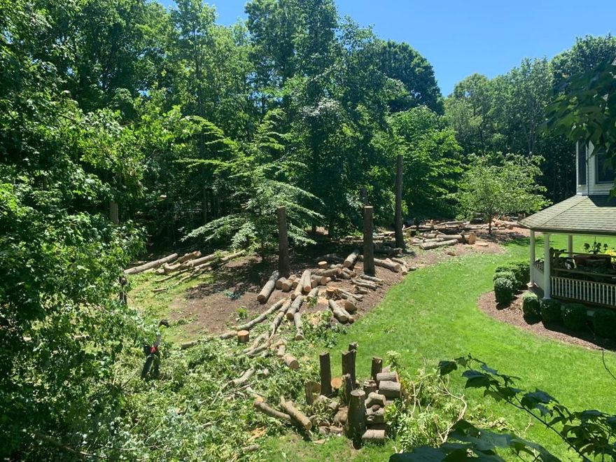 Wooded backyard with stone retaining wall, green lawn, and a white gazebo on the right