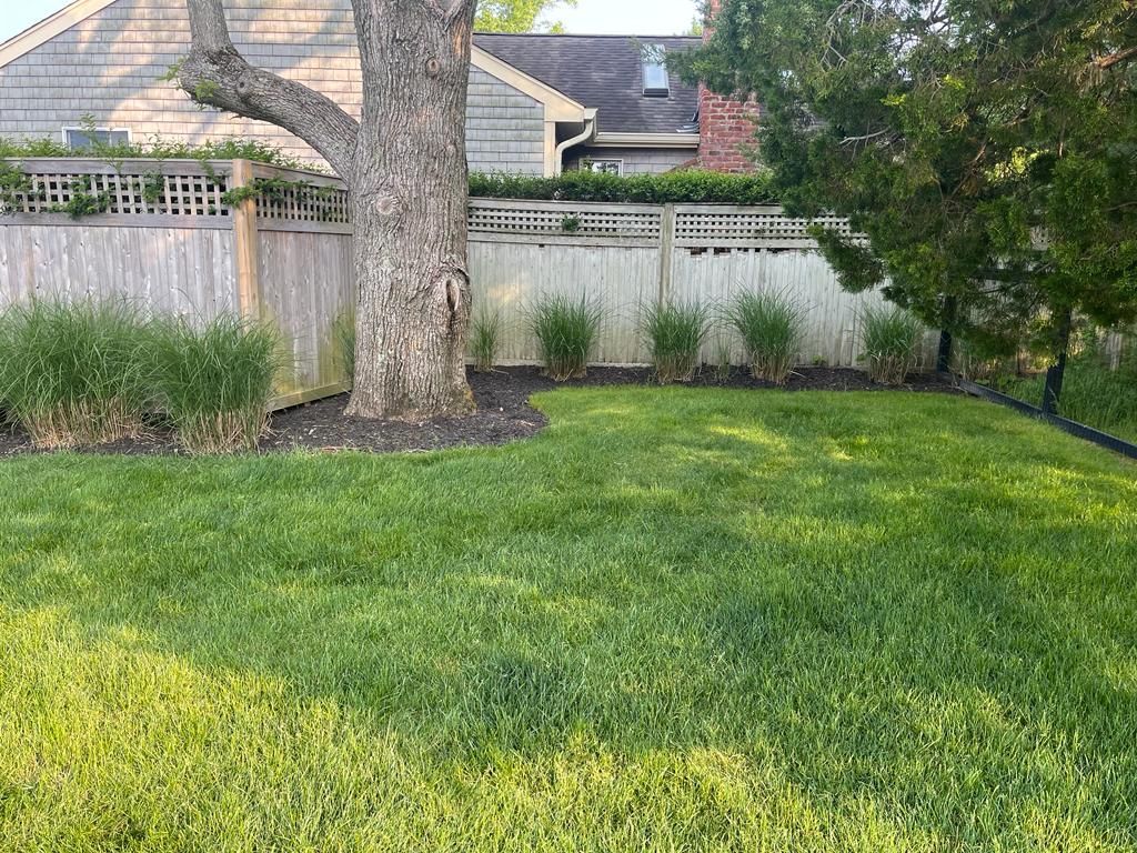 Backyard lawn with a large tree, wooden fence, shrubs, and a house in the background