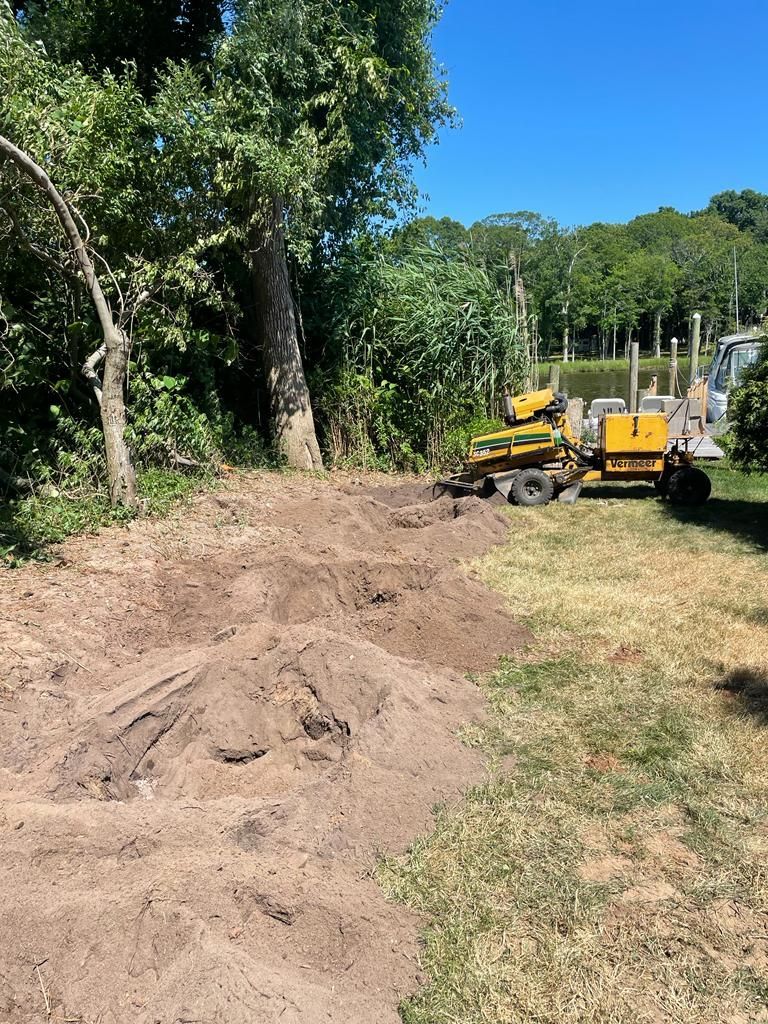 Yellow excavator beside a dirt path in a sunny wooded area