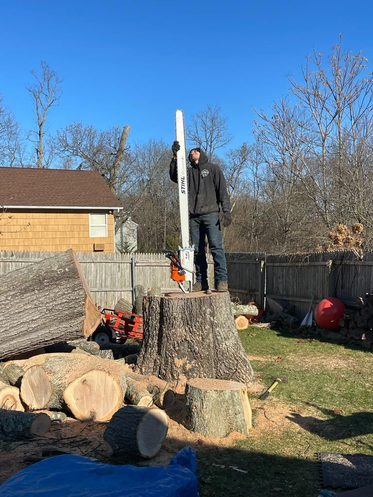 Person standing on a tree stump beside cut logs in a backyard, holding a long pole.
