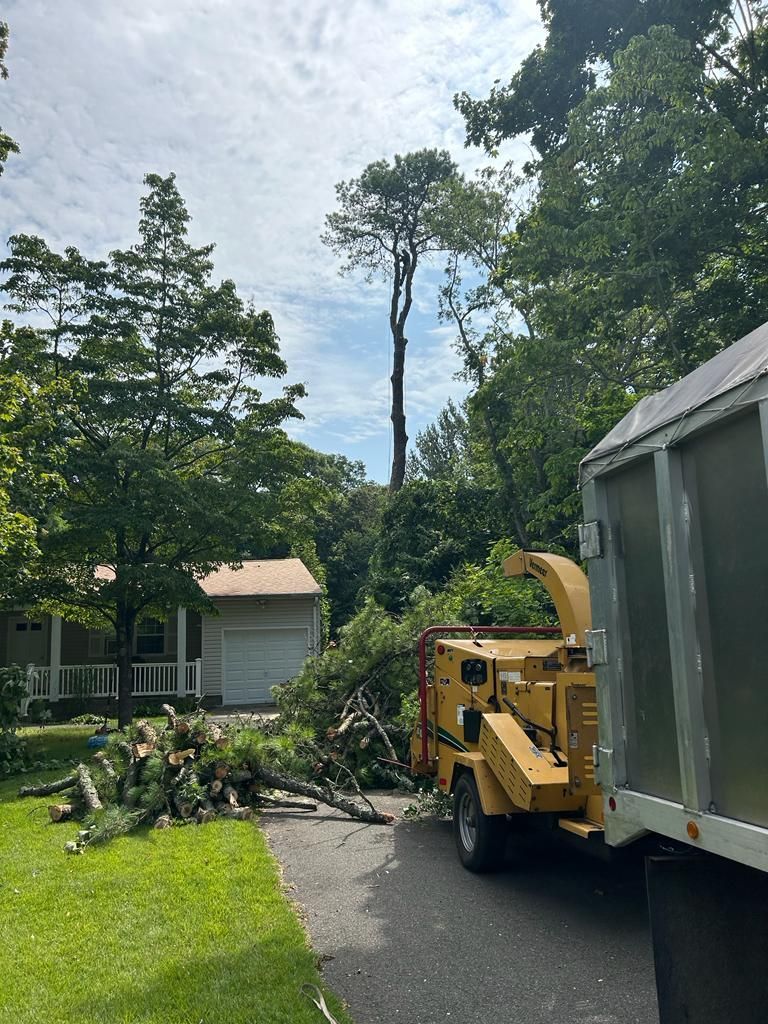 Tree branch cleanup on a suburban driveway with a yellow wood chipper and truck nearby.