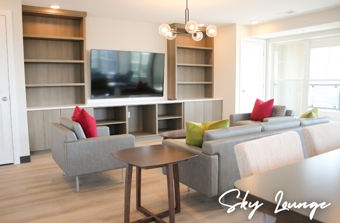 Living room with built-in shelves, TV, gray couch with red and green pillows, and a small table.