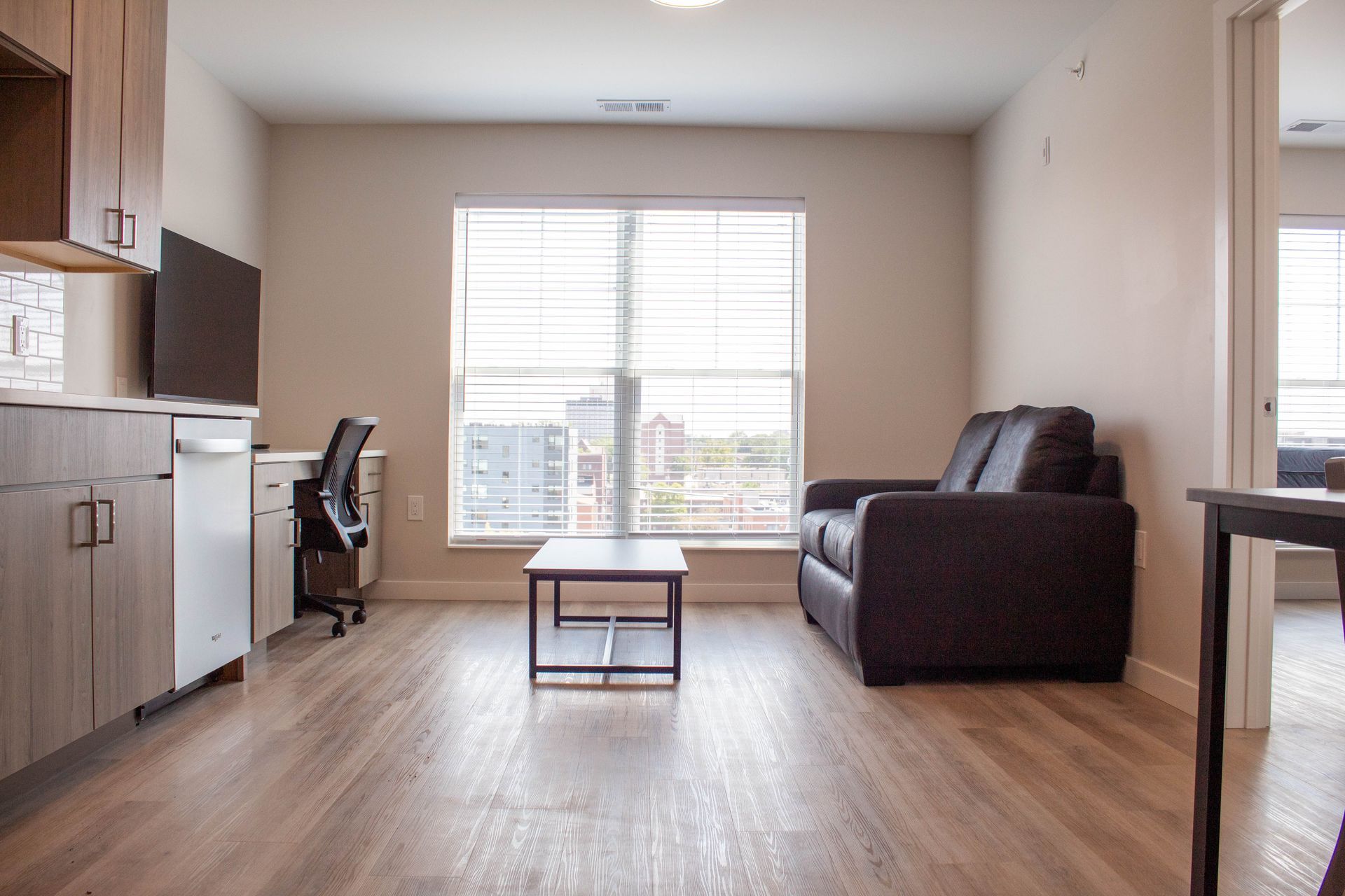Living room with brown sofa, rug, and kitchen opening.
